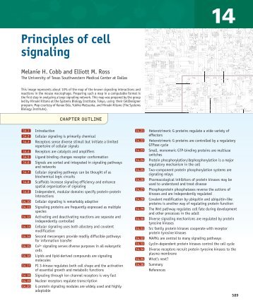 Principles of cell signaling - UT Southwestern