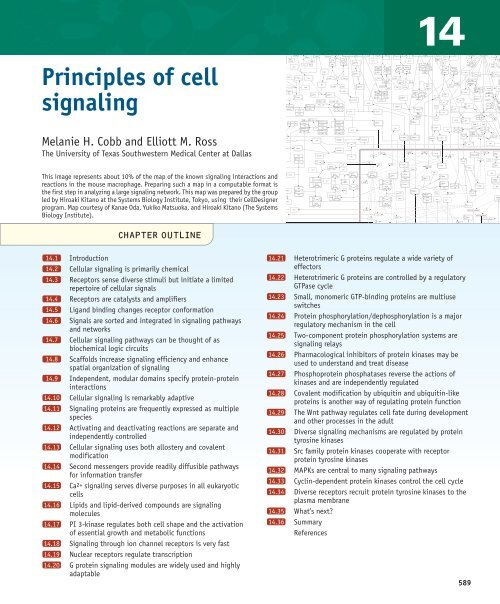 Principles of cell signaling - UT Southwestern