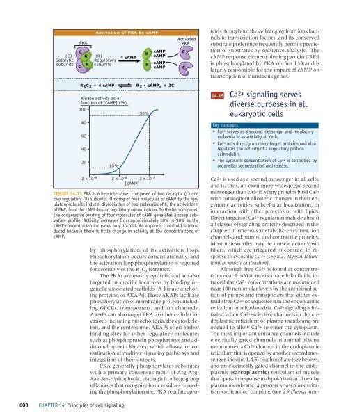 Principles of cell signaling - UT Southwestern