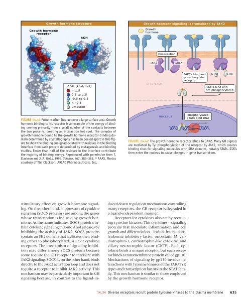 Principles of cell signaling - UT Southwestern