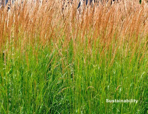 Sustainability Plan - University of Washington Tacoma