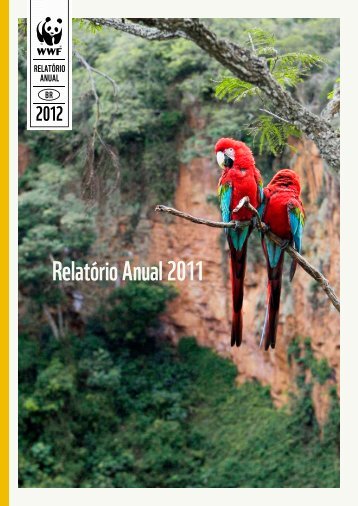 RelatÃ³rio Anual 2011