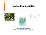 Habitat fragmentation - Jean-Francois Le Galliard
