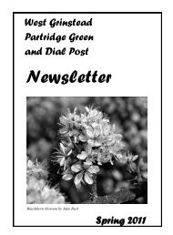 Newsletter - West Grinstead Parish Council