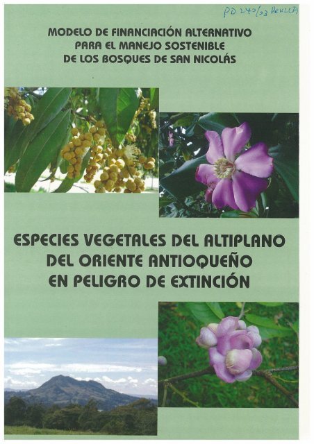 especies ve(.!etales del altiplano del oriente antioqueno en ... - ITTO