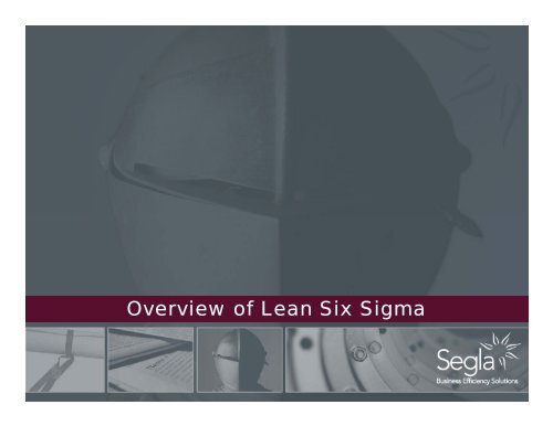 Lean Six Sigma - Segla International