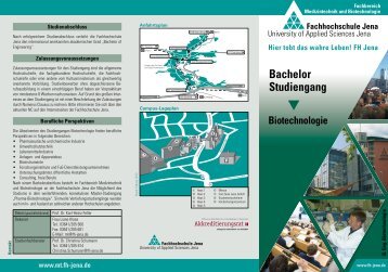 Flyer Bachelor Biotechnologie - Fachbereich Medizintechnik und ...