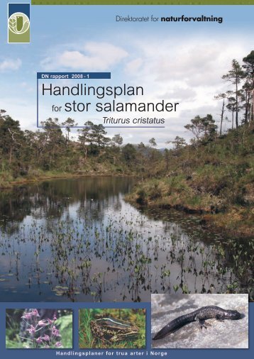 Handlingsplan for stor salamander - Regional Red List