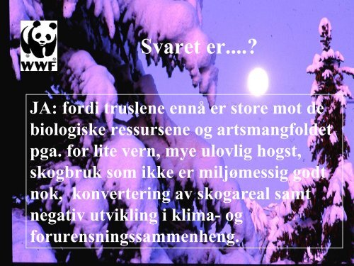 Verdens skoger i fare - WWF