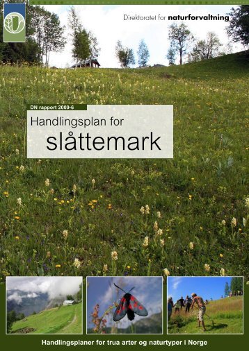 Handlingsplan for slåttemark