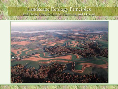 Landscape Ecology Principles - River Basin Center at the University ...