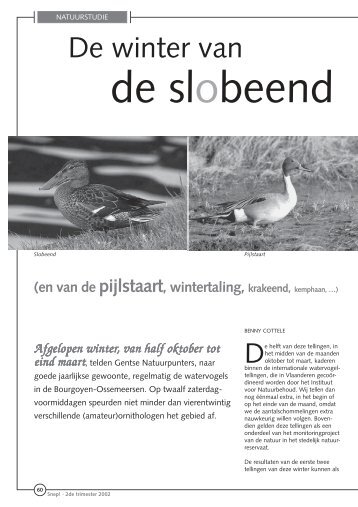 jg1_nr2_Studie_de winter van de slobeend.pdf - Natuurpunt Gent