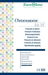 Chromosome kit M - Euroclone