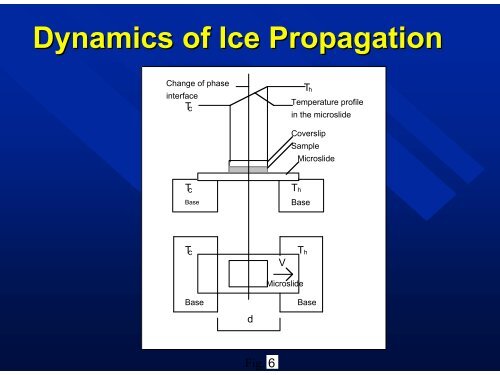 Physical Causes of Concrete Deterioration