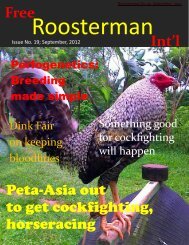 Roosterman No. 19, September, 2012 - Subscribe to Roosterman