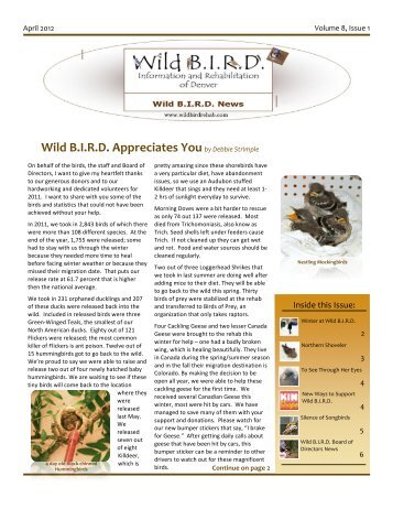 WB News April 12 - Wild BIRD