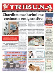 Forum Zbardhet mashtrimi me ensimat e emigrantëve - Tribuna News