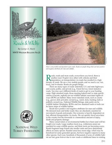 Roads & Wildlife - National Wild Turkey Federation