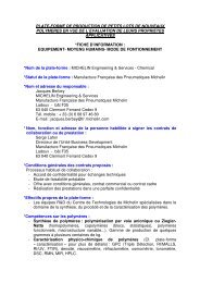 Michelin Engineering & Services : Chemical - Groupe FranÃ§ais d ...