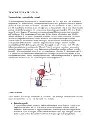 A7 CLASSIC シングレット -STEALTH- 【XL】 PDF) Quantum Confinement V: Nanostructures