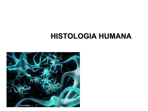 HISTOLOGIA HUMANA