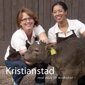 Ladda ner som pdf - Kristianstad