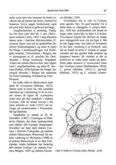 Fulltekst - Norsk entomologisk forening