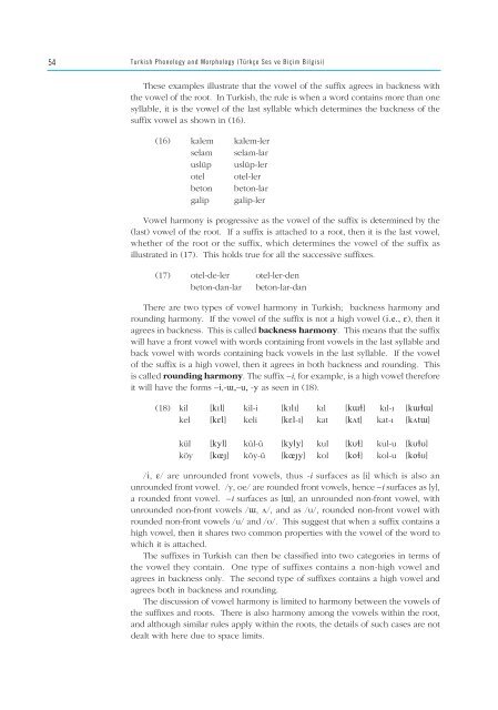 turkish phonology and morphology (türkçe ses ve b‹ç‹mb‹lg‹s‹)