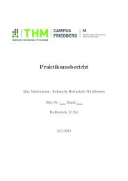 Vorlage fÃ¼r BPS-Berichte - Technische Hochschule Mittelhessen