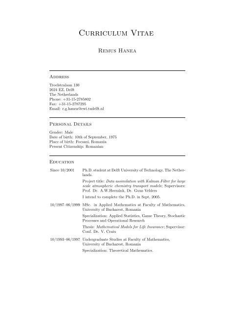 Cv Of Remus Hanea