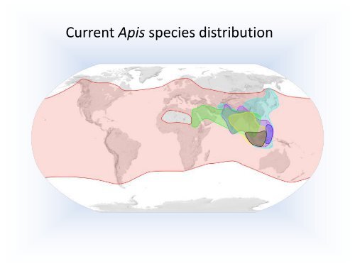 Biology of the Colony