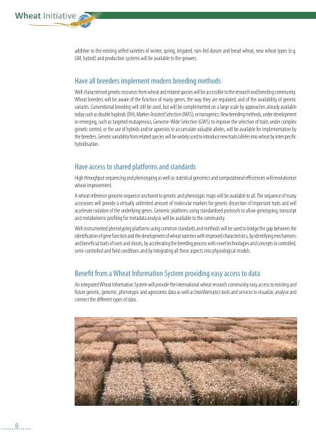 An international vision for wheat improvement - Wheat Initiative