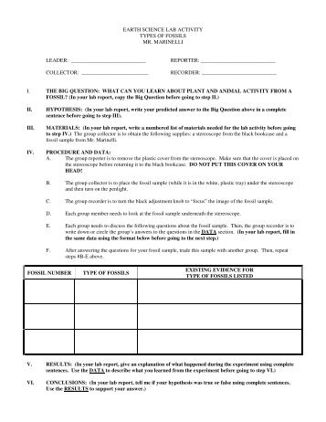 earth science lab activity types of fossils mr. marinelli leader