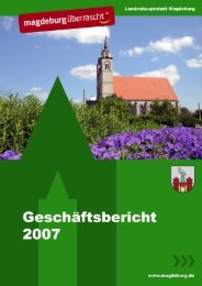 Geschäftsbericht der Landeshauptstadt Magdeburg für das Jahr 2007