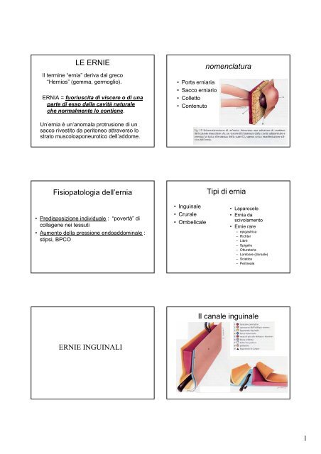 LE ERNIE nomenclatura Fisiopatologia dell ... - Alberto Vannelli.it