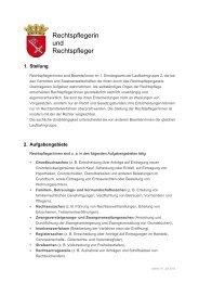 Informationsblatt Rechtspfleger (pdf, 26 kB) - Hanseatisches ...