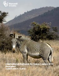 International International studbook for Grevy's zebra ... - Marwell Zoo