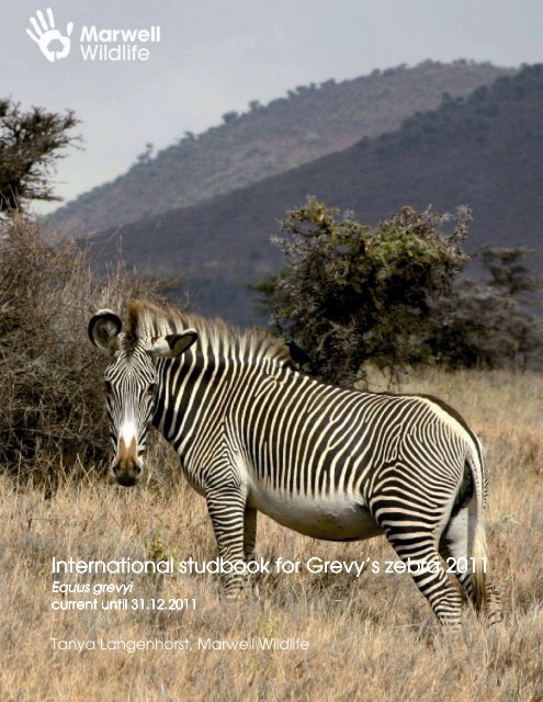 International International studbook for Grevy's zebra ... - Marwell Zoo