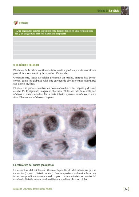 BIOLOGIA Y GEOLOGIA_4.qxd - aulAragon