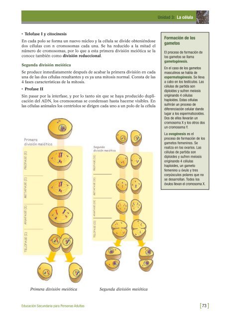 BIOLOGIA Y GEOLOGIA_4.qxd - aulAragon