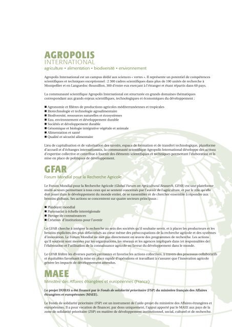 Version optimisÃ©e - Agropolis International