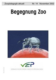 Ausgabe 14 - VZP