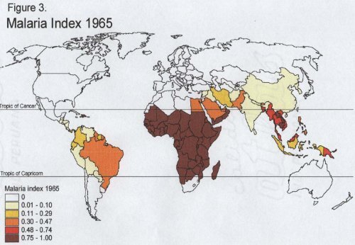 10. La Malaria y Otras Enfermedades Infecciosas - Alejandro Llanos