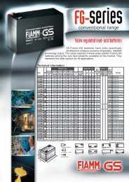 Valve regulated lead-acid batteries - Fibat