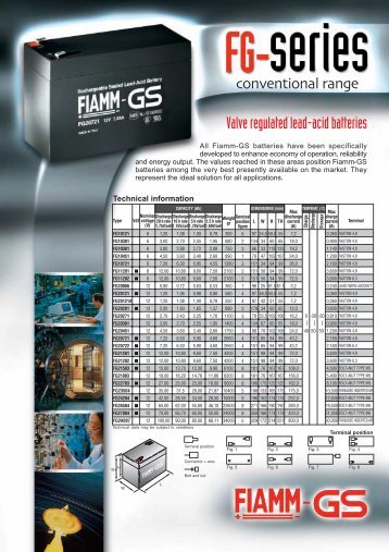 Valve regulated lead-acid batteries - Fibat