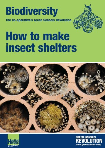 404188 How To make insect shelters - The Co-operative