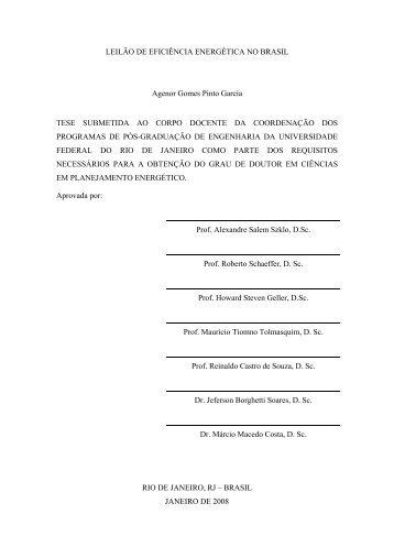 GOMES, Agenor Pinto Garcia. LeilÃ£o de EficiÃªncia ... - PPE - UFRJ