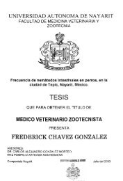 TESIS FREDERICK CHAVEZ GONZALEZ - Catalogo General UAN