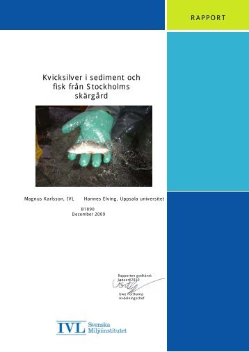 Kvicksilver i sediment och fisk från Stockholms skärgård