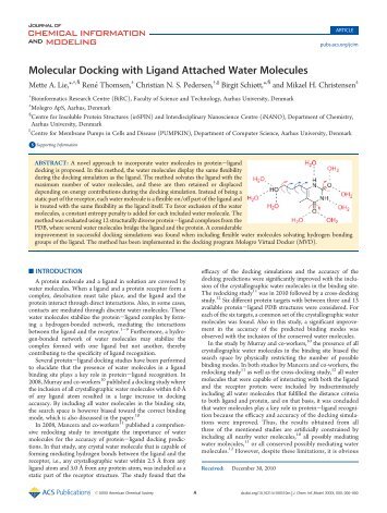 Molecular Docking with Ligand Attached Water Molecules